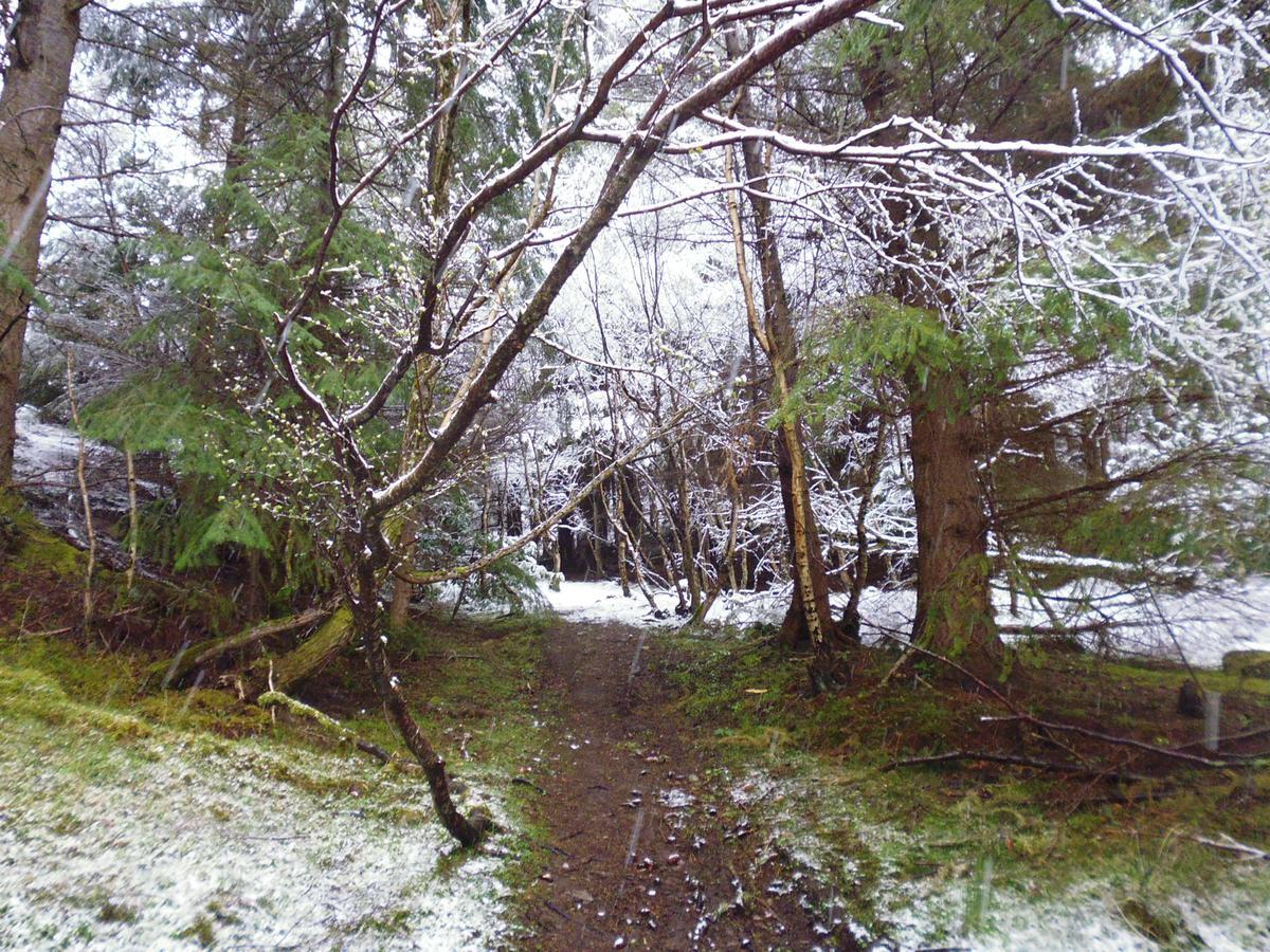 The Wee Dram Ξενοδοχείο Foyers Εξωτερικό φωτογραφία